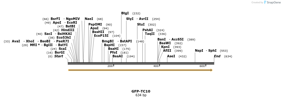 29092_map
