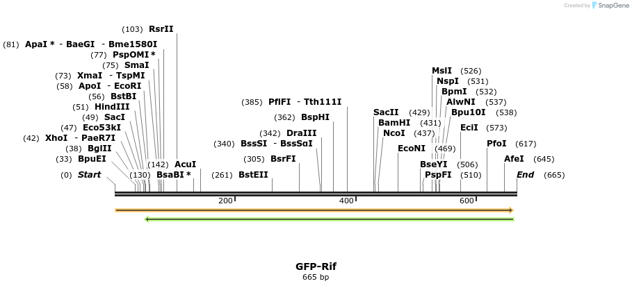 29093_map