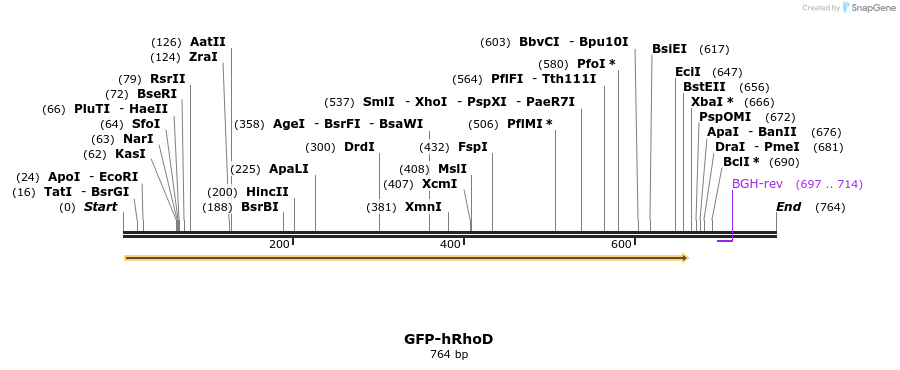 29094_map