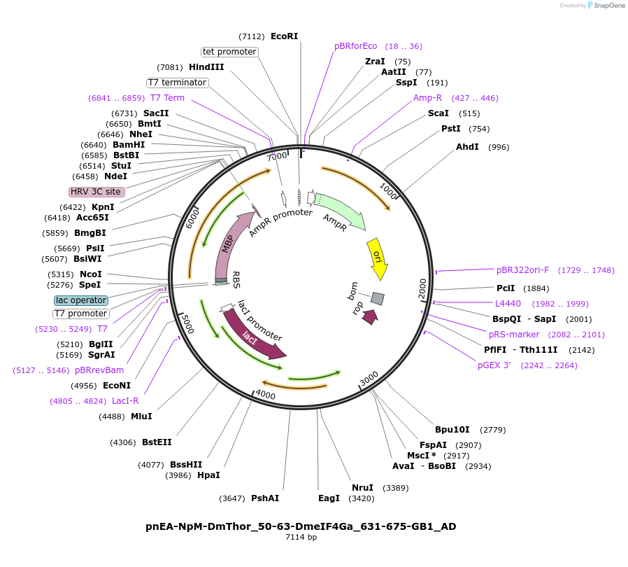 290963_map
