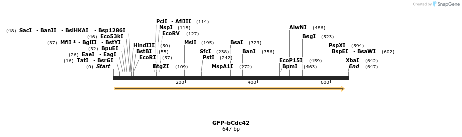 29097_map