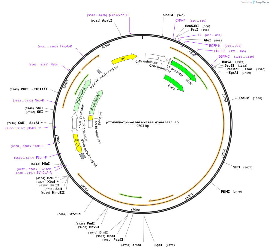 290970_map