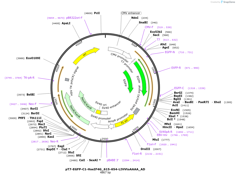 290971_map