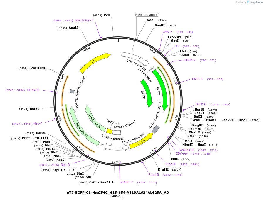 290972_map