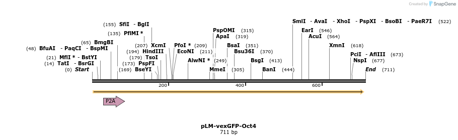 29098_map