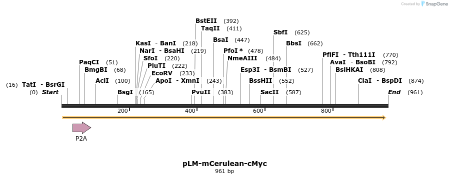 29101_map