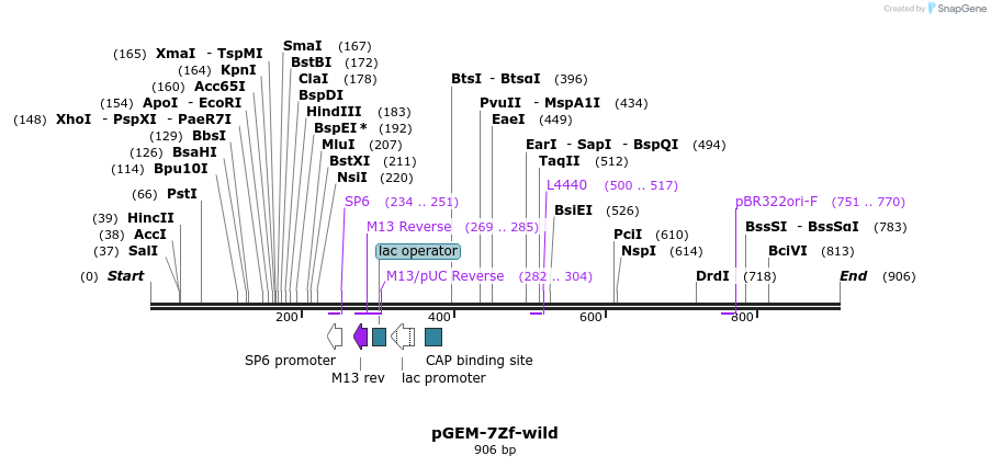 29103_map