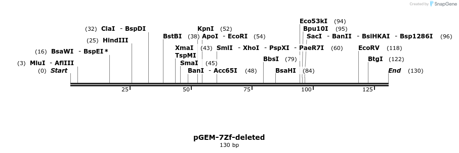 29105_map