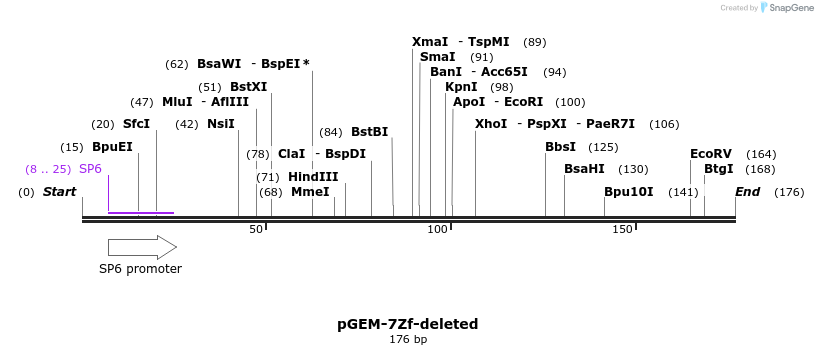 29106_map