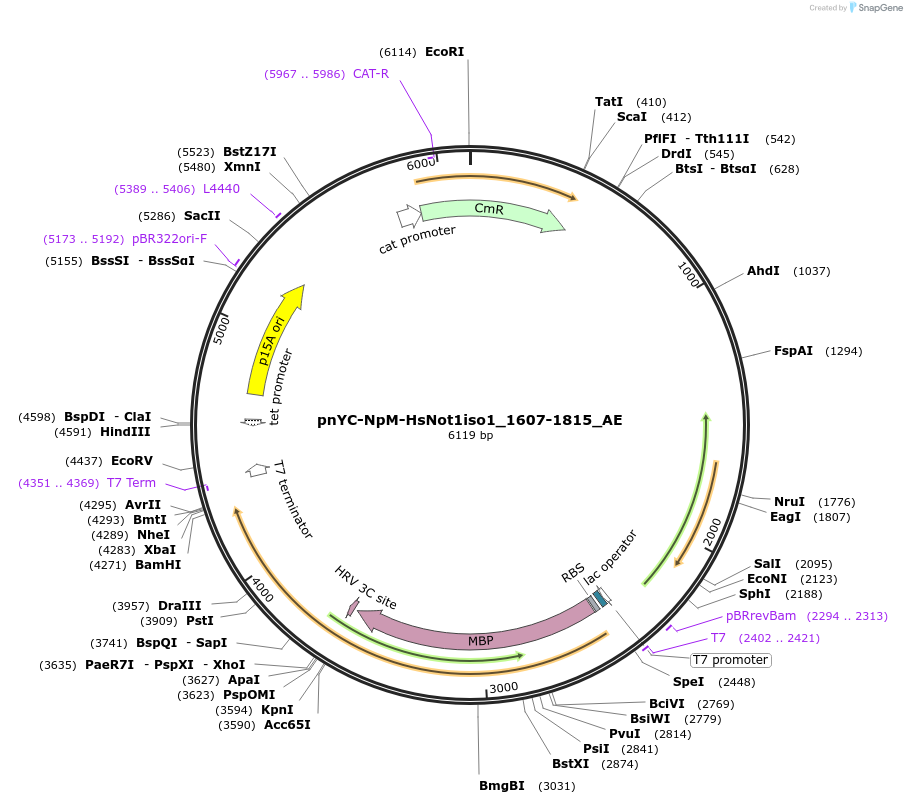291079_map