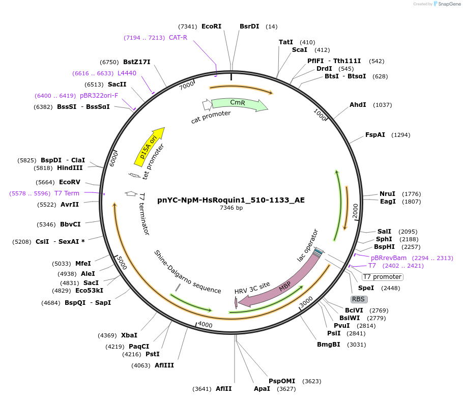 291080_map