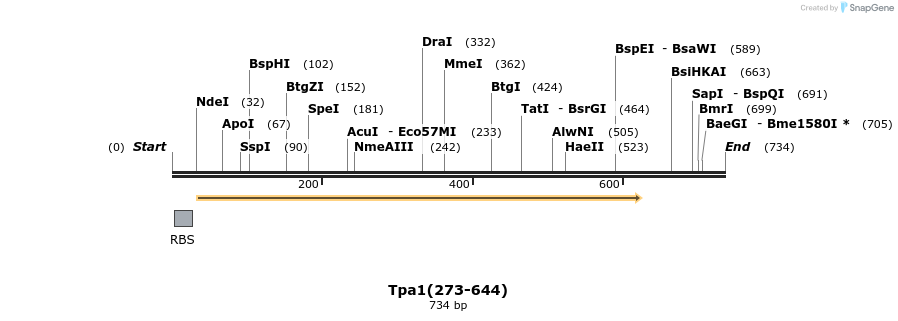 29110_map