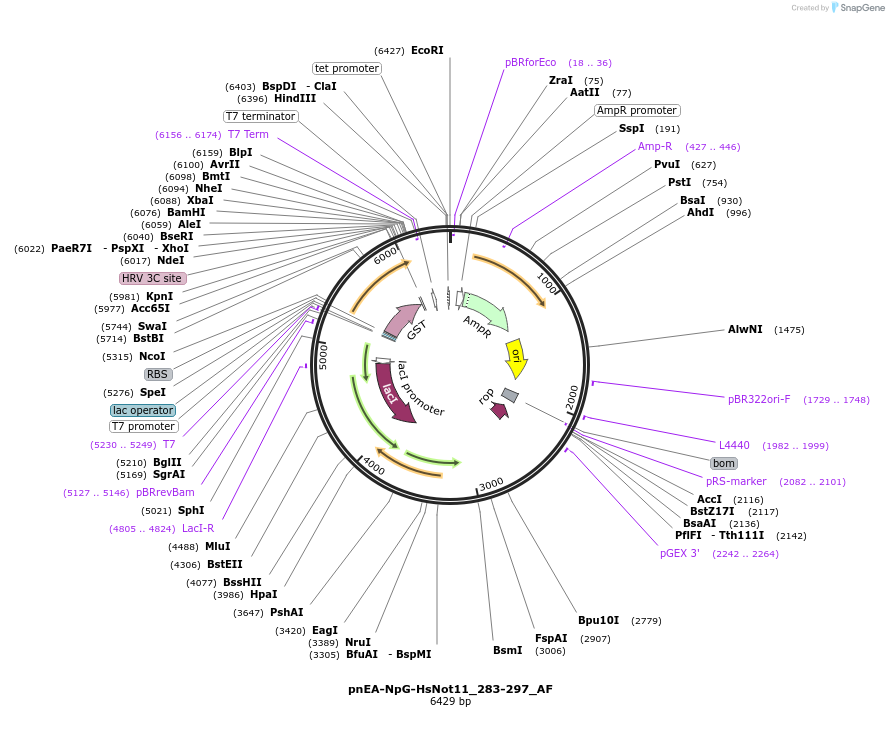 291102_map
