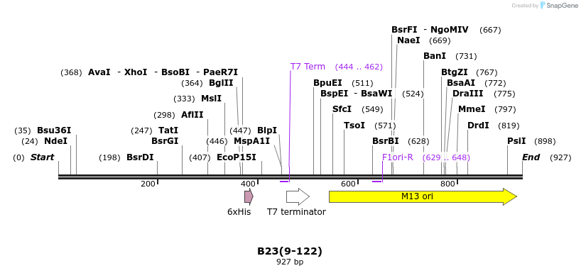 29111_map