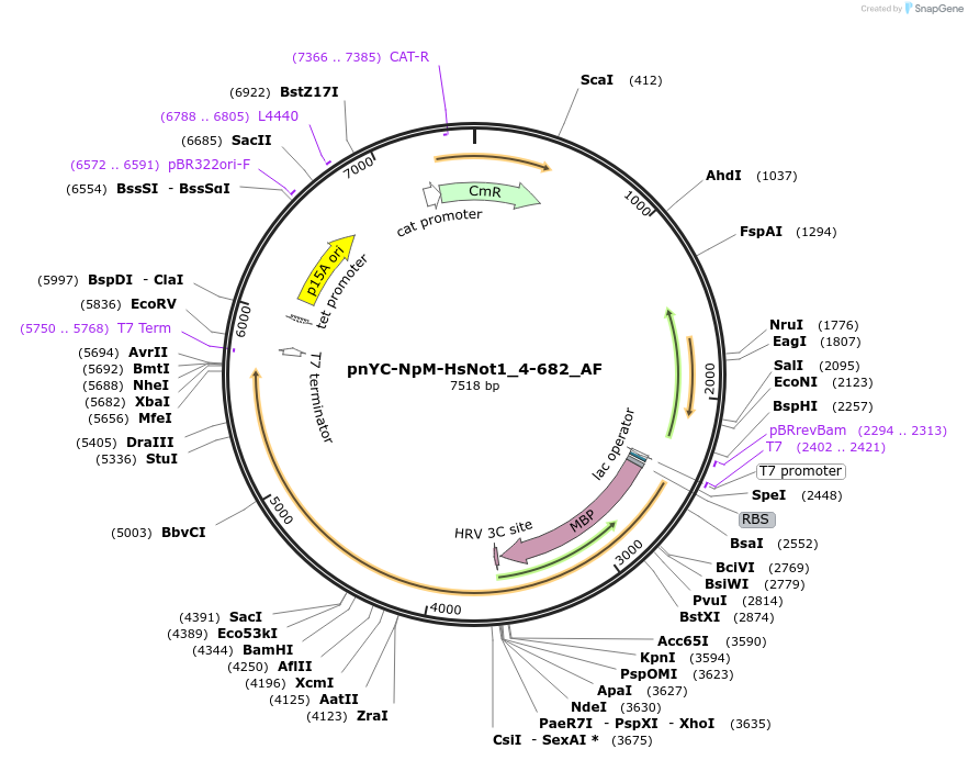 291120_map