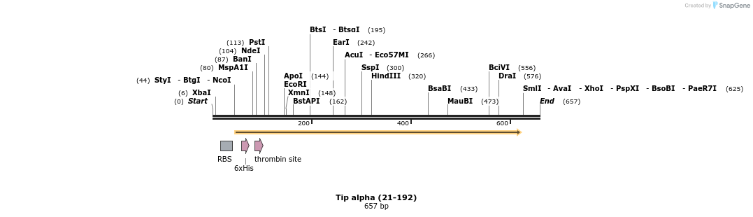 29114_map
