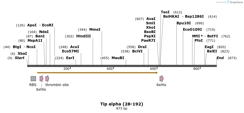 29115_map