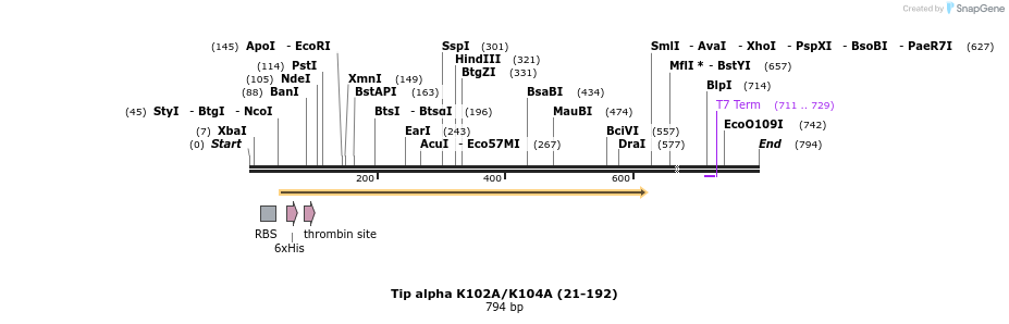 29116_map