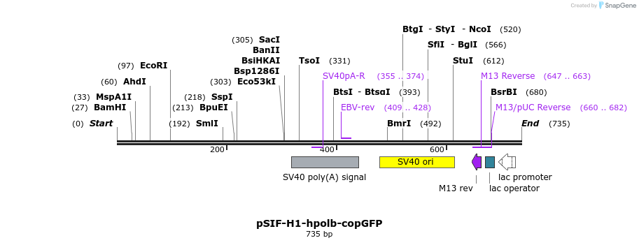 29117_map
