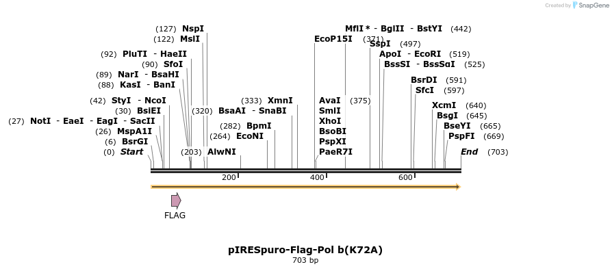 29119_map
