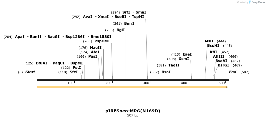 29120_map