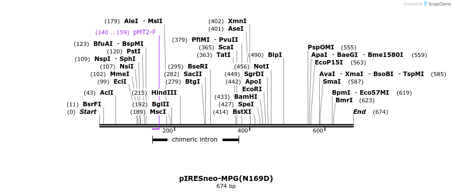 29121_map