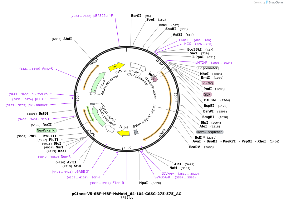 291213_map