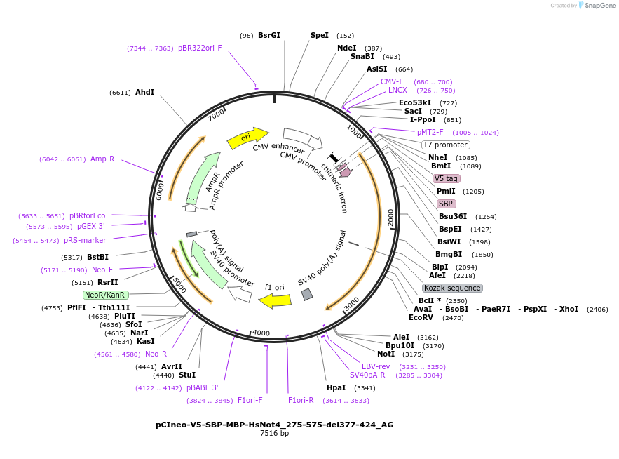 291219_map