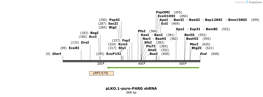 29122_map
