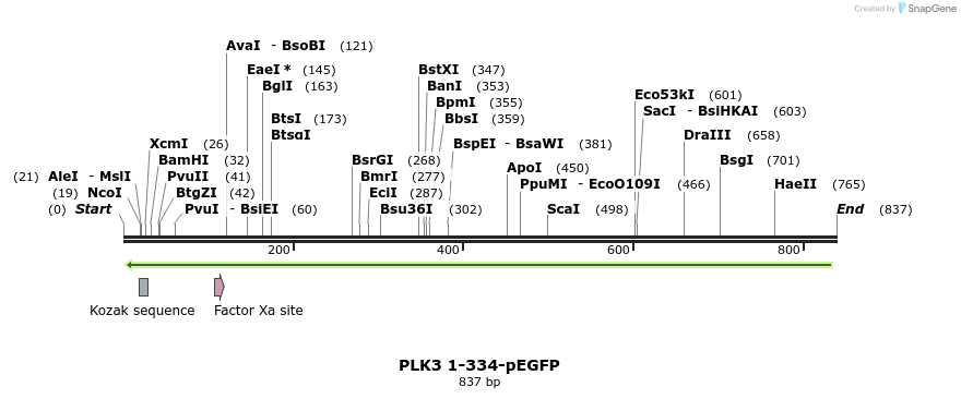 29129_map