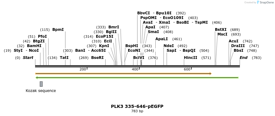 29130_map