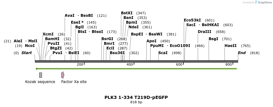29131_map
