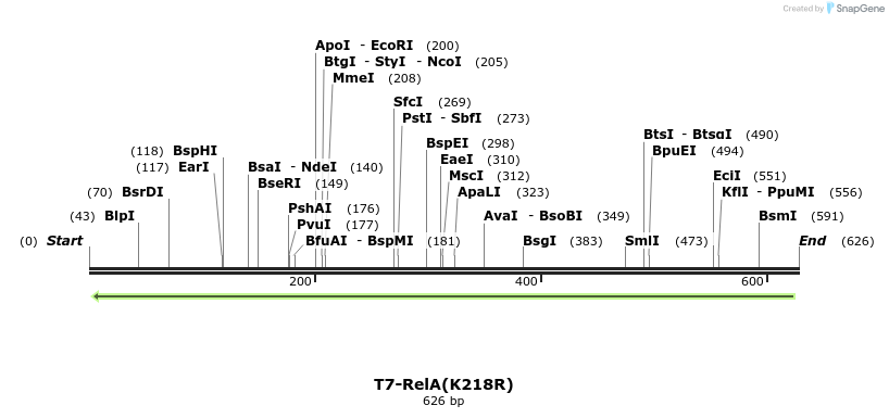 29137_map
