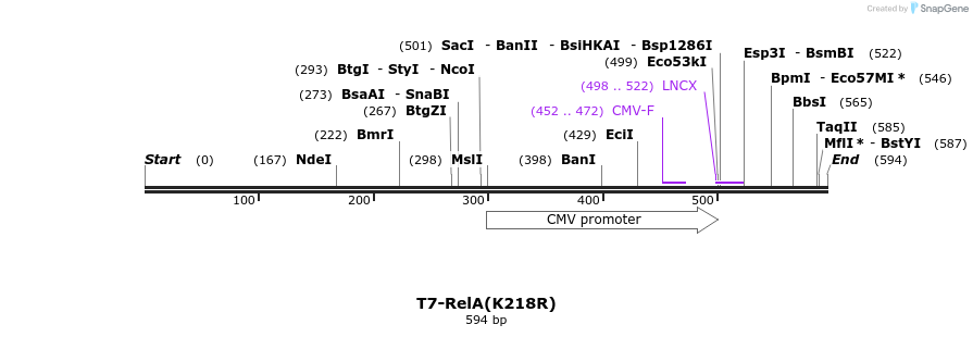 29138_map