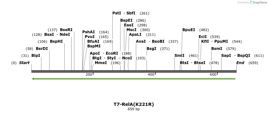 29139_map