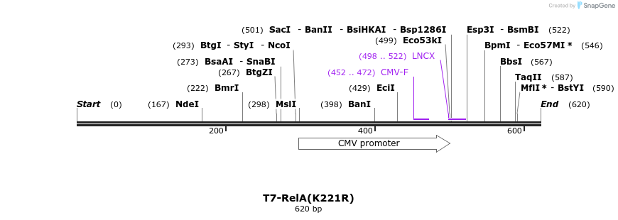 29140_map