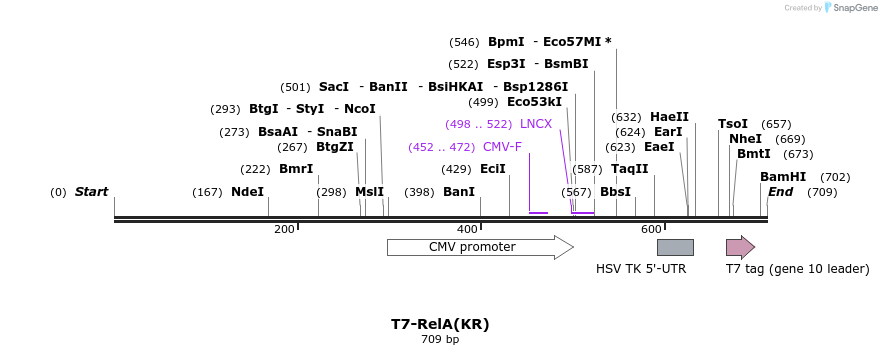 29144_map