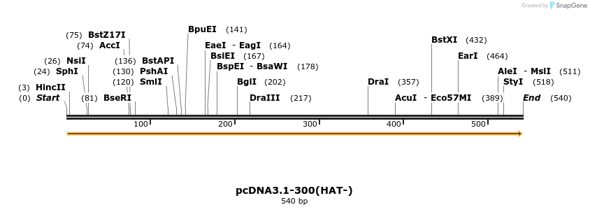 29148_map