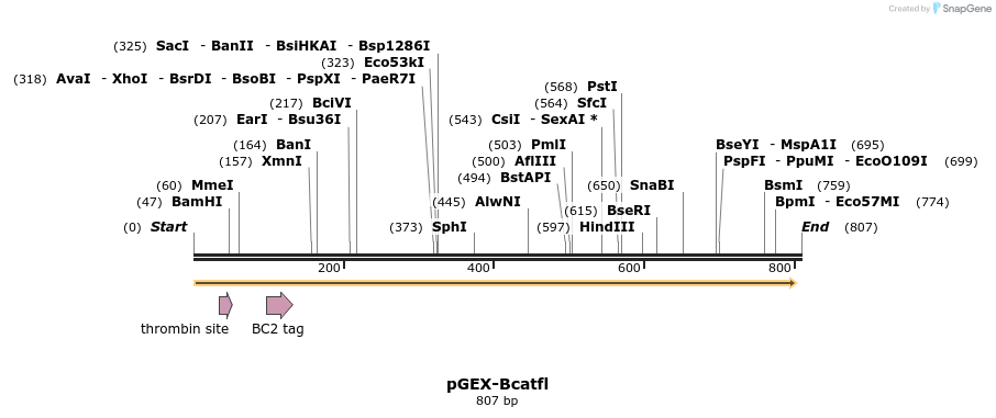 29151_map
