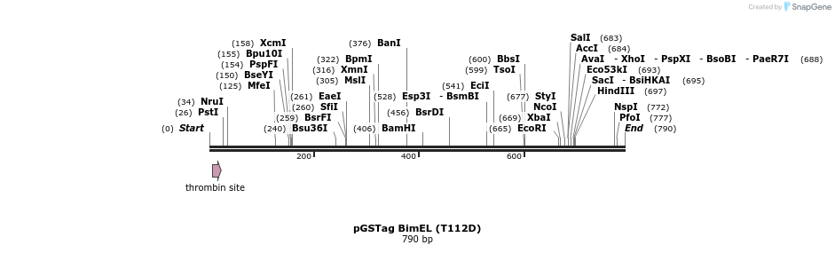 29159_map