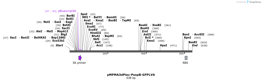 29164_map