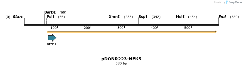 29172_map