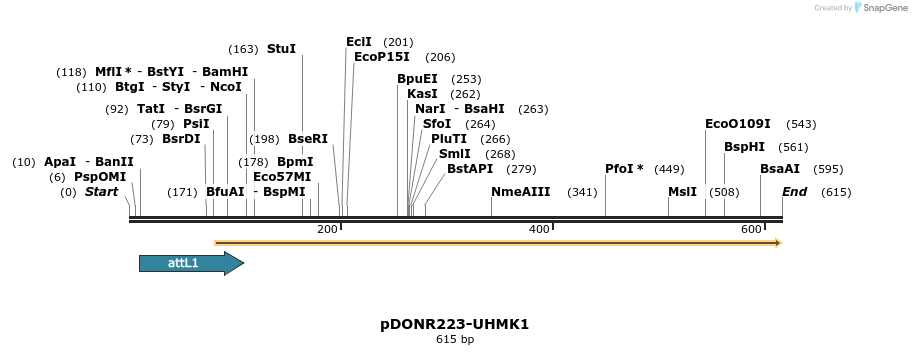 29173_map