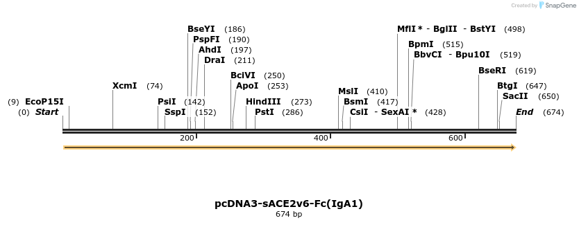 291739_map