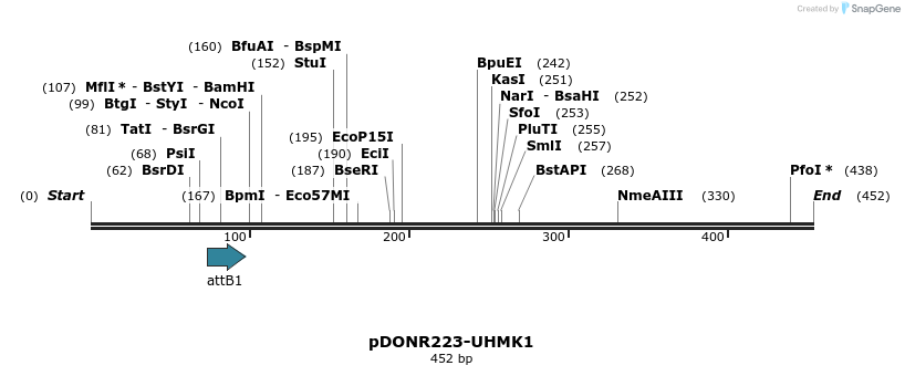 29174_map