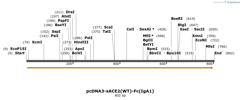 291741_map