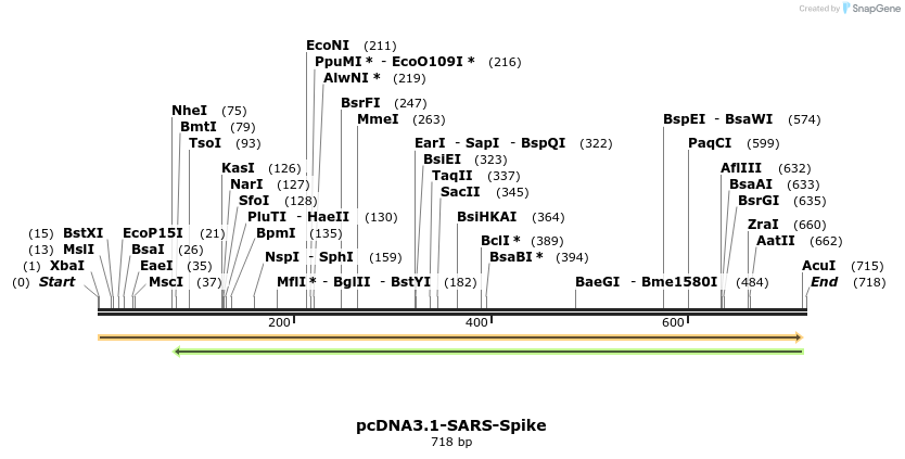 291743_map