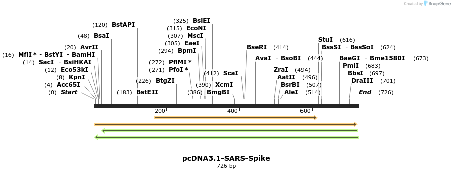 291744_map