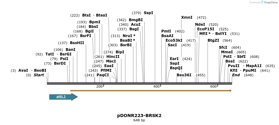 29175_map