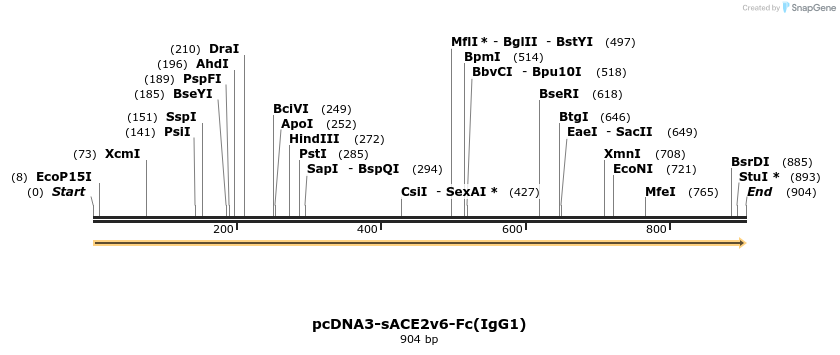 291750_map